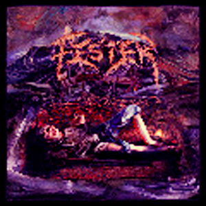 Fester представили обложку и трек-лист своего нового альбома